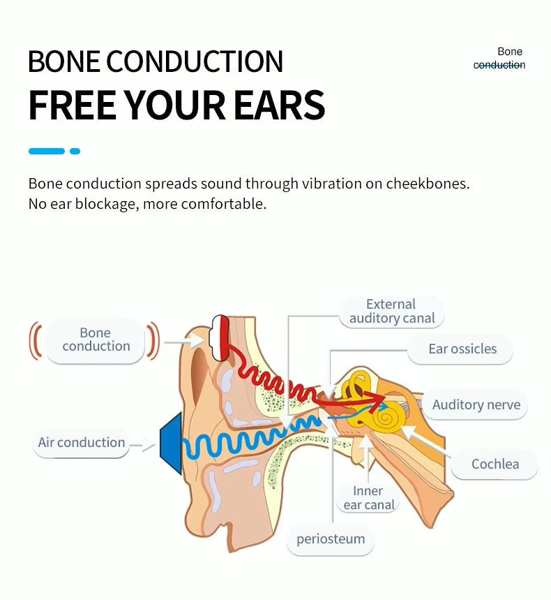 UnderWater Audio Coach (Alova) Aquavore