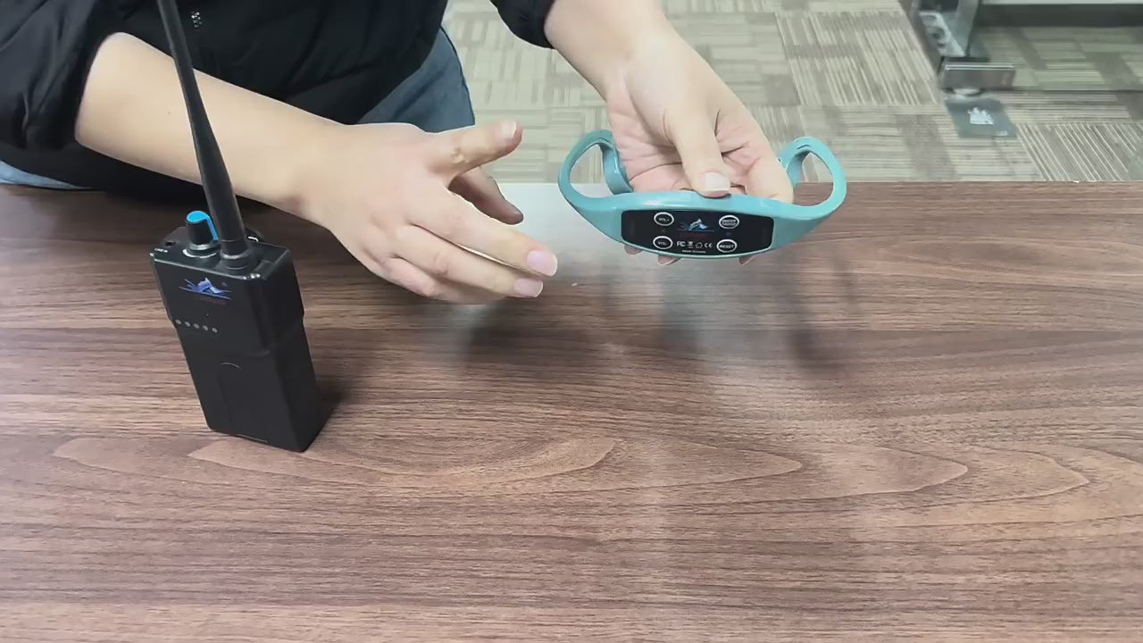 UnderWater Audio Coach (H904)